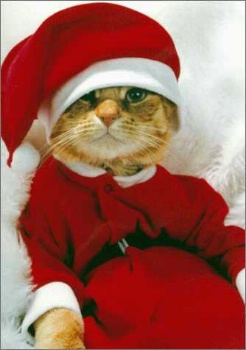 Wishing You a Vewwy Mewwy Christmas.... ecard