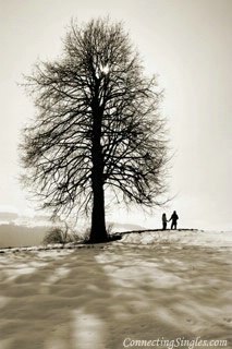 snowy walk ecard