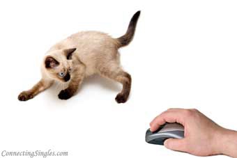 Cat & mouse games ecard