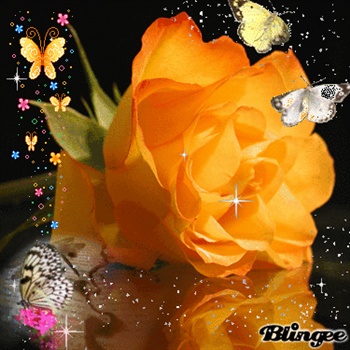 butterflys and roses ecard