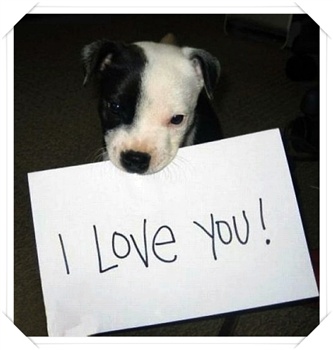 I love you (cute dog) ^_* ecard