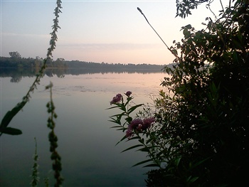 "Each new sunrise" Lake Hudson Michigan 2011 ecard