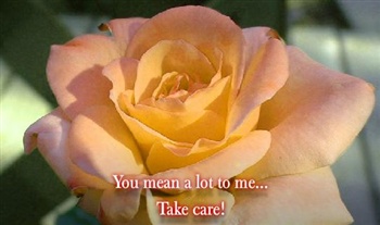 Take Care ecard