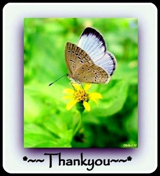 "Thank-you" ecard