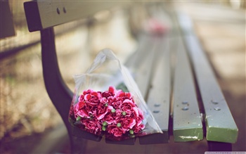 Carnation_ bouquet ecard