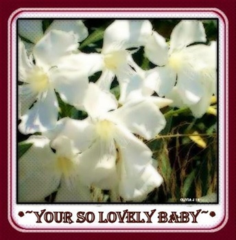 " Your So Lovely Baby " ecard