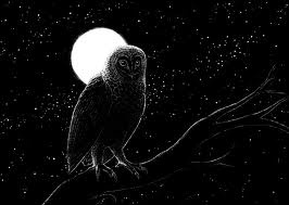 im a night owl ecard
