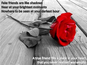 Friendship Rose ecard