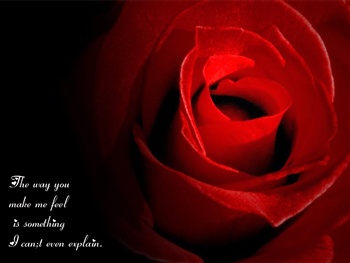 Love Rose Ecard