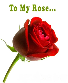 Happy Rose Day ecard
