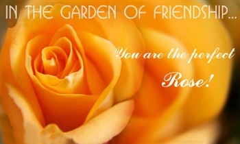 In-the-garden-of-friendship.... ecard