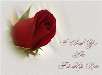 I Send You The Friendship Rose ecard