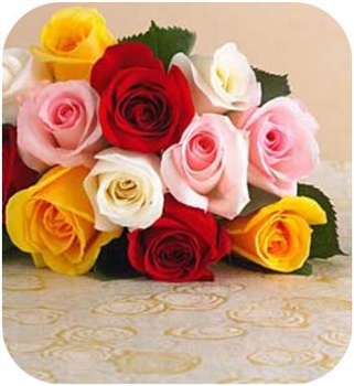 Roses Rainbow ecard