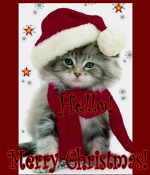 Hello!... Merry Christmas!... ecard
