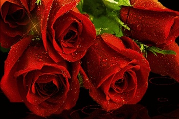 Beautiful Roses For A Beautiful Heart. ecard