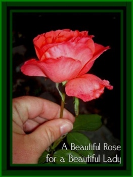 A beautiful rose for a beautiful lady... ecard