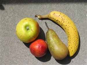 fruits ecard
