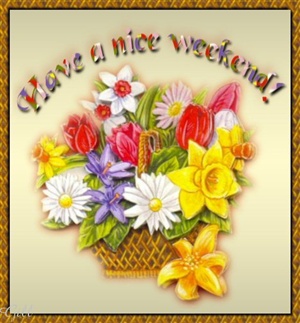 Have A Nice Weekend..!! ecard