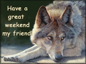 Have a great Weekend !! ecard
