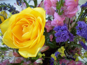 A Yellow Rose ecard