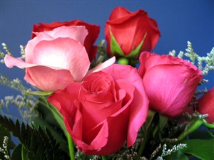 Rosese for U Beautiful !! ecard
