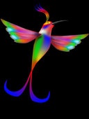 Hummingbird ecard