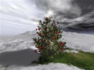 Little Christmas Tree ecard