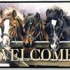 Welcome Horses eCard