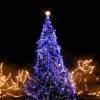 Christmas Tree 4 eCard