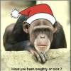 Have You Been Naughty or Nice eCard