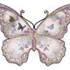 butterflys eCard