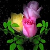 A Romantic Flower Card