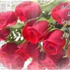 Red Roses of Love