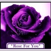 ROSE FOR YOU