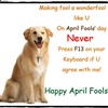 Happy April Fools Day eCard