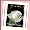 A ROSE FOR YOU eCard