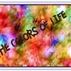Colors Of Life