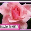 REASONS FOR YOU TO SMILE