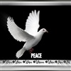 PEACE AND LOVE eCard
