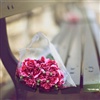Carnation bouquet eCard