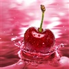 apple in pink water to say eCard