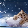 Time To Say GoodNight eCard