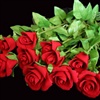 A Dozen Red Roses For You eCard