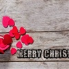 Merry Christmas To My Special One eCard