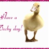ducky day eCard