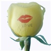 Kiss Me flower for U eCard
