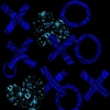 OXOX eCard