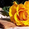 Yellow Rose To Say