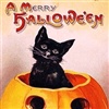 A Merry Halloween eCard