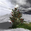 Little Christmas Tree eCard